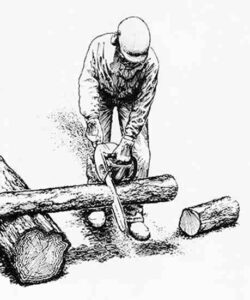 Barnacle Parp's Chainsaw Guide Image